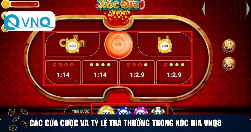 Các cửa cược và tỷ lệ trả thưởng trong xóc đĩa VNQ8