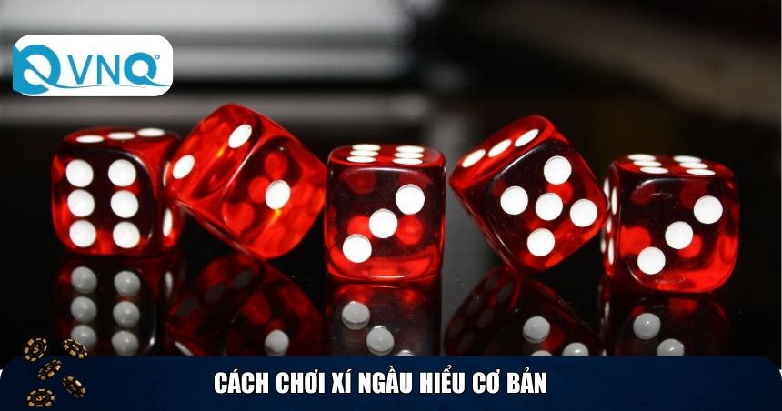 Cách chơi xí ngầu hiểu cơ bản