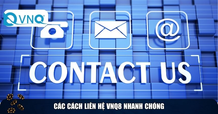 Các cách liên hệ VNQ8 nhanh chóng