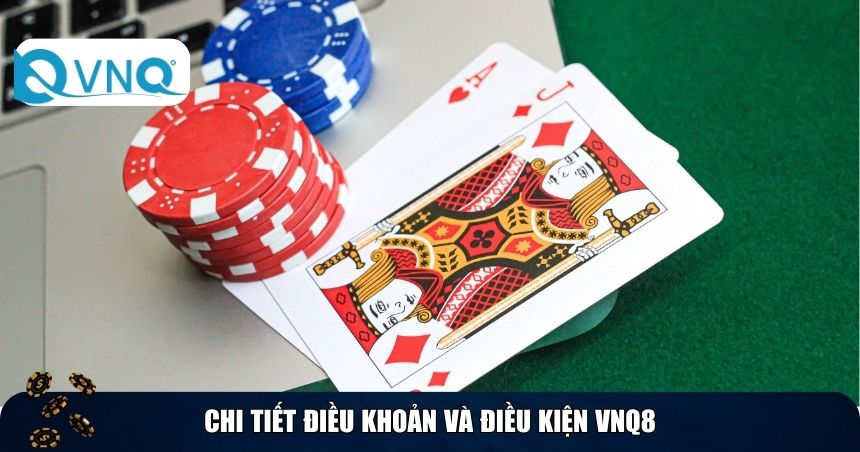 Chi tiết điều khoản và điều kiện VNQ8