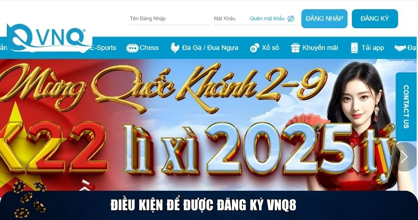 Điều kiện để được đăng ký VNQ8