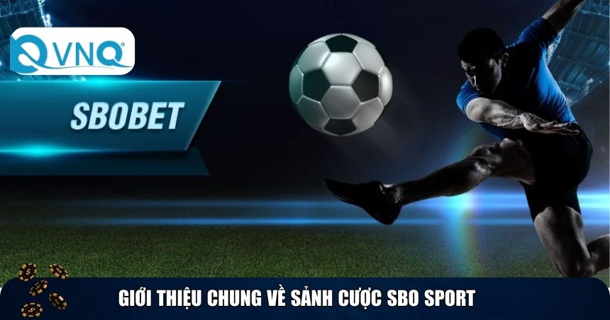 Giới thiệu chung về sảnh cược SBO Sport