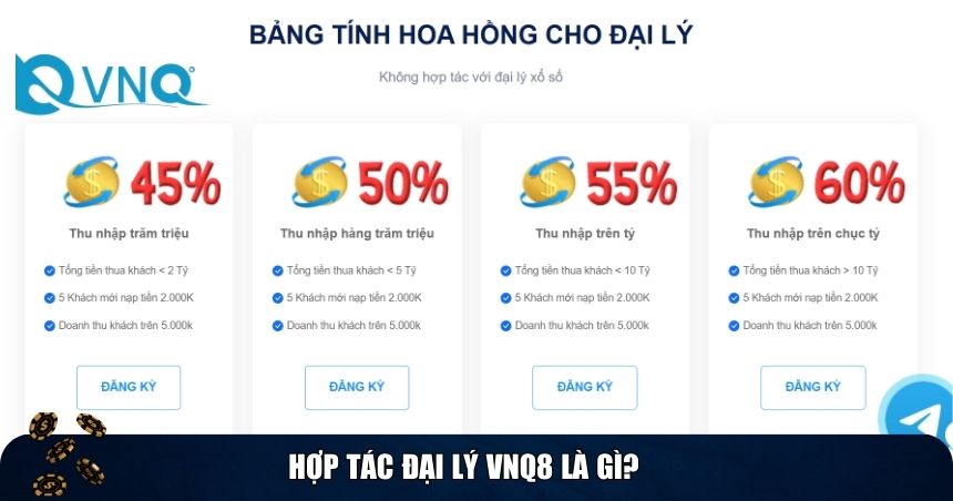 Hợp tác đại lý VNQ8 là gì?