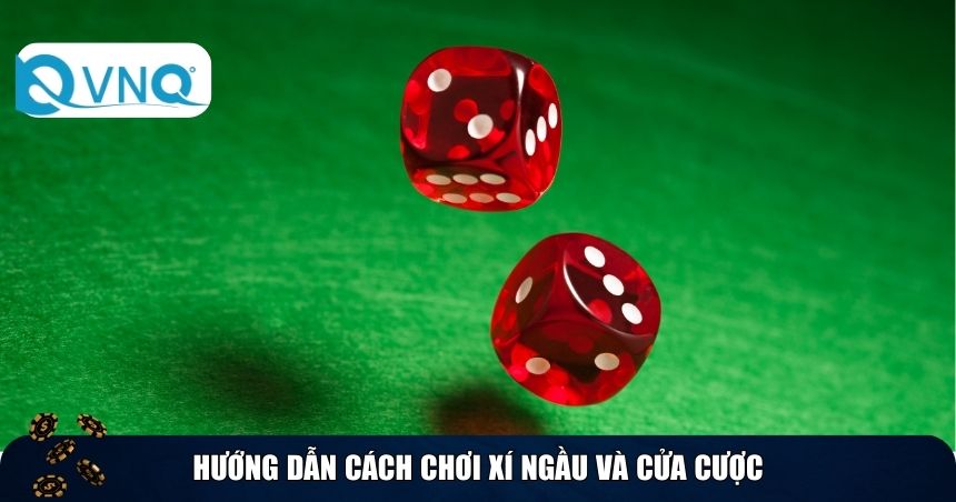 Hướng dẫn cách chơi xí ngầu và cửa cược