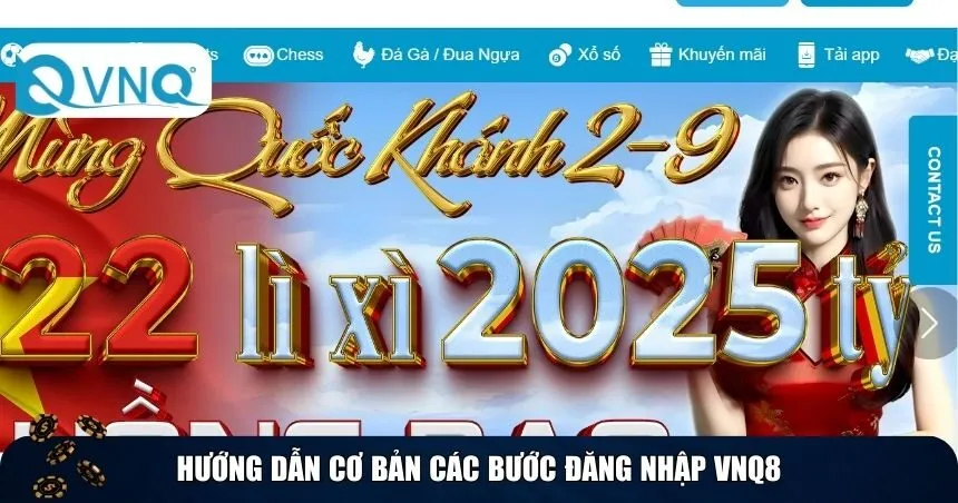 Hướng dẫn cơ bản các bước đăng nhập VNQ8