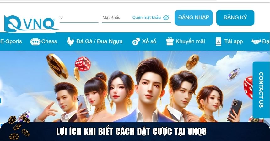 Lợi ích khi biết cách đặt cược tại VNQ8
