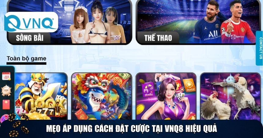 Mẹo áp dụng cách đặt cược tại VNQ8 hiệu quả