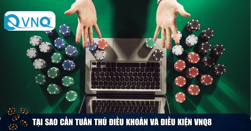 Tại sao cần tuân thủ điều khoản và điều kiện VNQ8