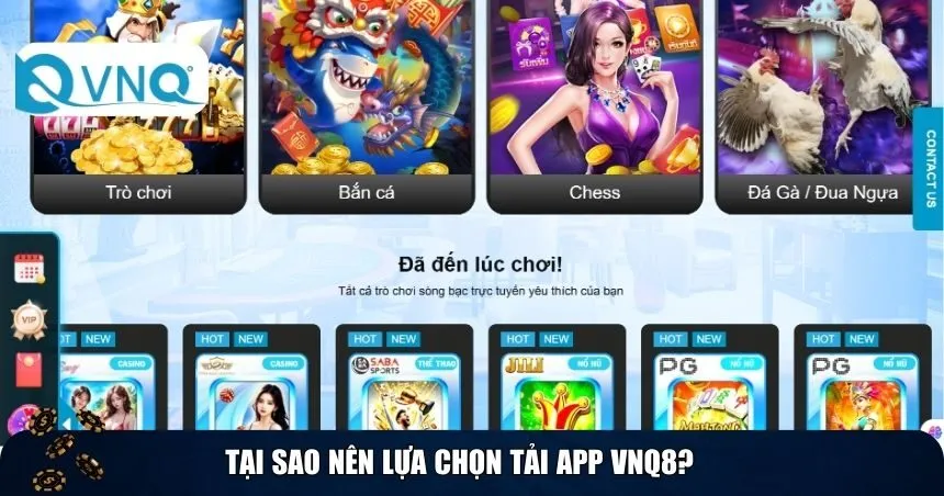 Tại sao nên lựa chọn tải app VNQ8?