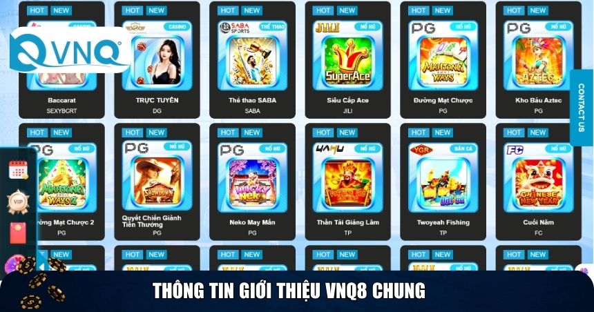 Thông tin giới thiệu VNQ8 chung