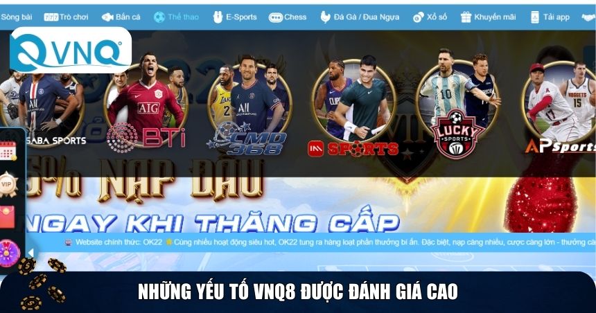 Những yếu tố VNQ8 được đánh giá cao